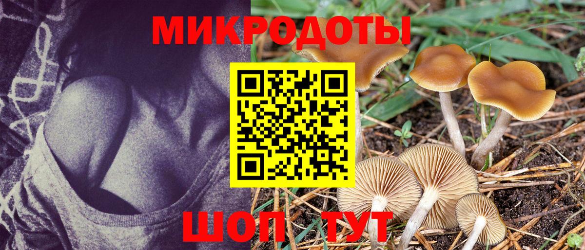 Ревда  Галлюциногенные грибы Psilocybe  Вход с VPN  Псилоцибиновые грибы MAGIC MUSHROOMS 